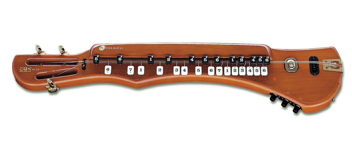 大正琴ダイレクトボックス DB-2 楽天市場】スズキ ダイレクトボックス DB-2 : 音手箱