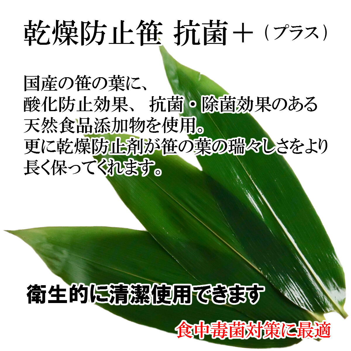 市場 送料無料 天然 10枚入 笹 Lサイズ 笹の葉 常温保存 熊笹 国産