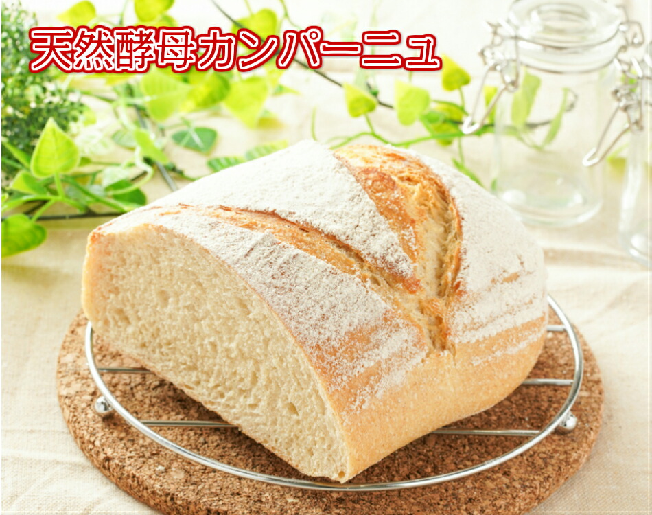 カンパーニュ 北海道小麦 国産小麦 国産全粒粉 無添加 ホシノ酵母 天然酵母 天然酵母食パン 食パン 食事パン しっとり 冷凍 ギフト 贈り物 パンセット