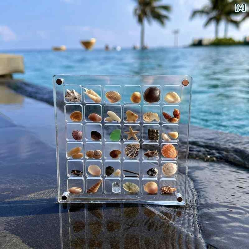 標本ケース 収納 貝殻 シェル 化石 夏休み 自由研究 ボックス ディスプレイ ミニチュア アクセサリー インテリア 展示 正方形 シンプル おしゃれ 透明
