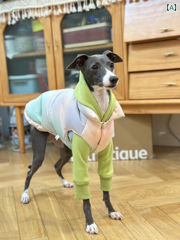 犬 服 グレーハウンド 冬季 落ちこむ 上衣 白いこと 家鴨 落ちこむが 体温 鍵を掛ける し 保温性 小さめ グレーハウンド ウィペット