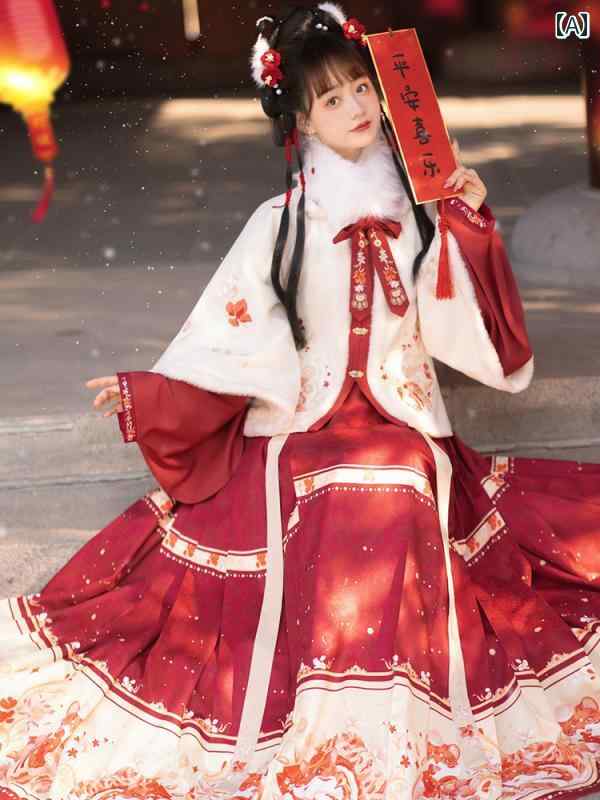 漢服 コスチューム レディース ファッション おしゃれ ステージ 撮影 舞台衣装 コスプレ 明代 チャイナ風 馬顔スカート 新年 戦闘 ローブ 厚手 レトロ 衣装 新年 挨拶 ドレス 冬｜おうち健康生活 13,297円