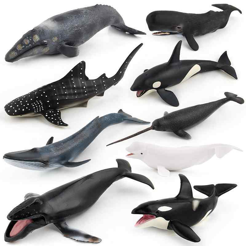 玩具 リアルな 海洋生物 フィギュア クジラ シャチ シロナガスクジラ マッコウクジラ シロイルカ 9種セット プラスチック製 教育 ディスプレイ
