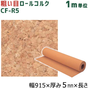 cf-r5_01.jpg