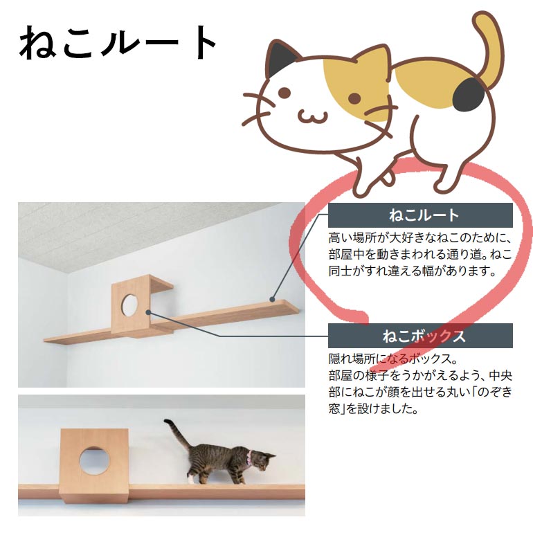 楽天市場 受注生産品 大建工業 ねこルート 片側r 専用金具 ブラケット 猫がすれ違える壁付けの通り道 壁面造作部材 お家王国