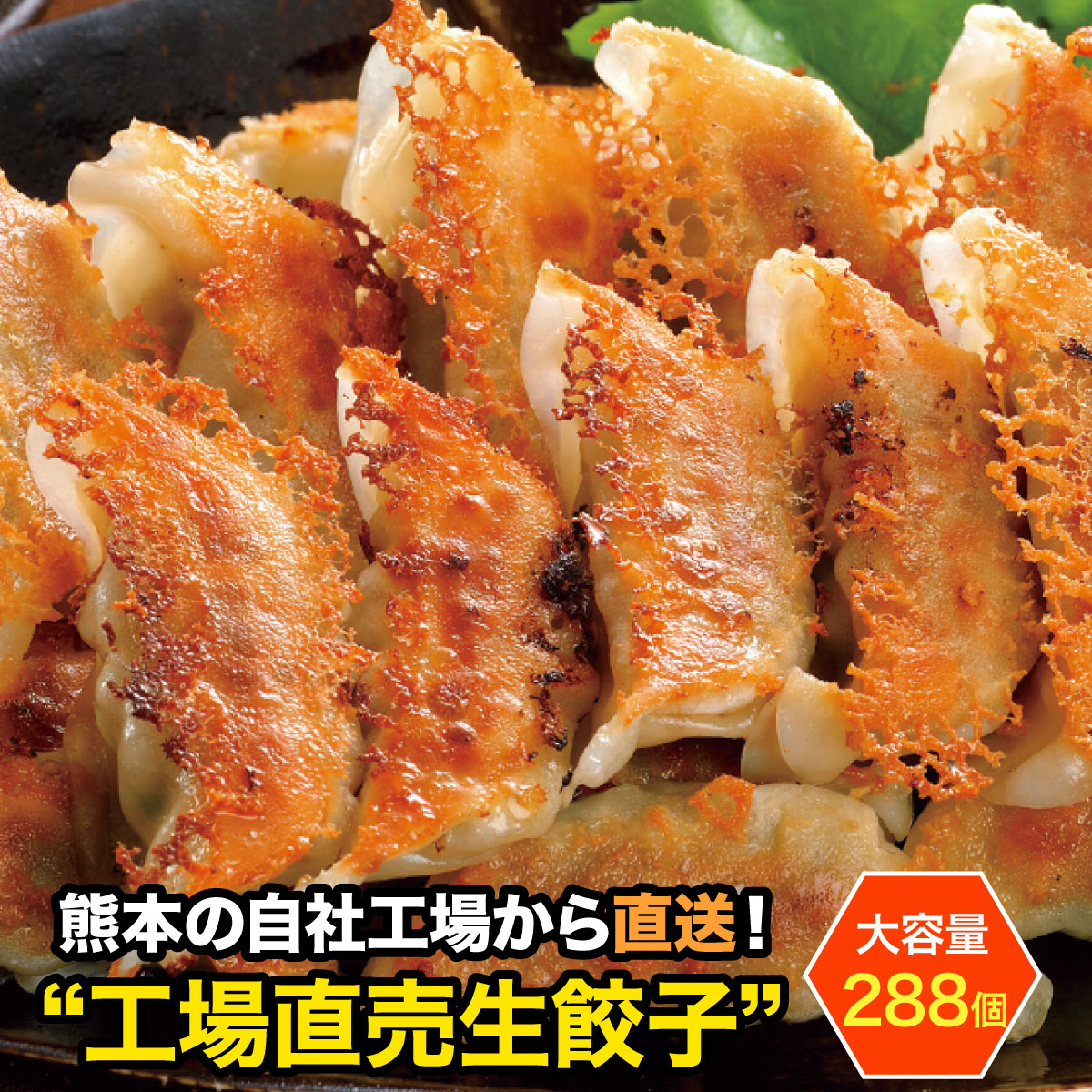 【送料無料】 お徳用 餃子 セット 業務用 <BR>工場直売生餃子 288個（24個×12パック）ビニール袋・焼き方レシピ付き！[餃子の王国]