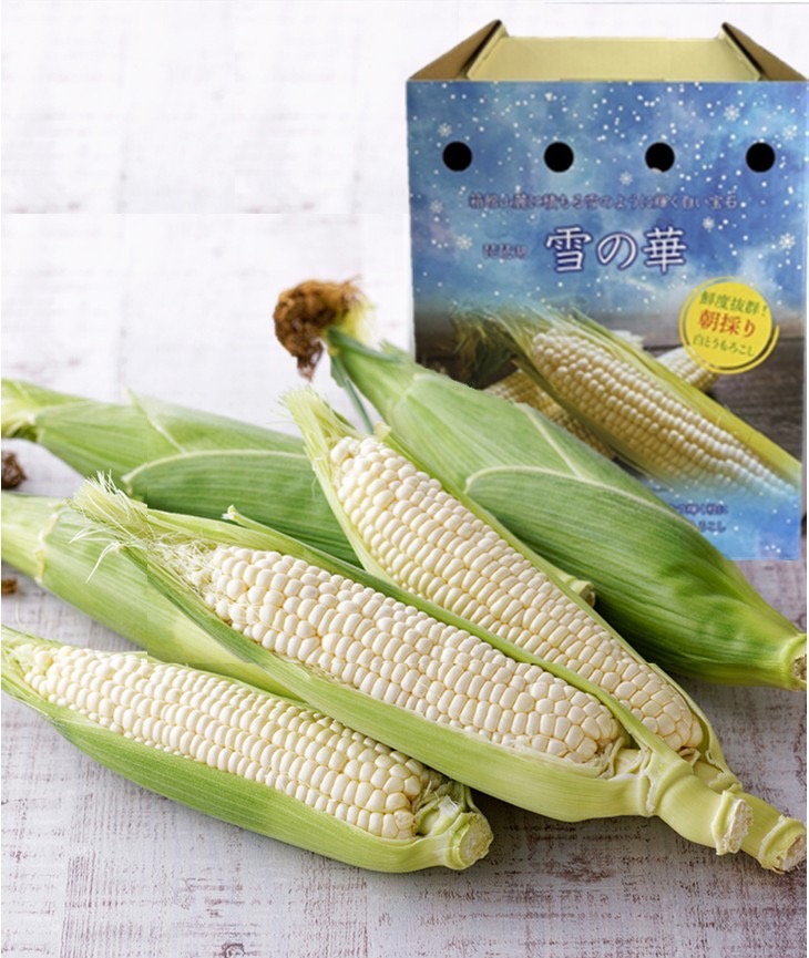 【滋賀県2025年度産　先行予約　6月中旬～7月中旬発送】　雪の華（ホワイトコーン）（白いとうもろこし）　朝採れ　生で食べれる　甘い　贈答　10本入り　　送料無料