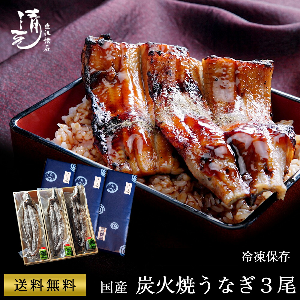 うなぎ 土用 丑の日 鰻200g お中元 鰻 ギフト プレゼント うなぎ 国産鰻蒲焼き3匹 誕生日 お祝い 内祝 お返し 食べ物 グルメ 国産 うなぎ ウナギ 鰻 蒲焼き 炭焼き 長蒲焼 お取り寄せ 贈り物 料亭の味 割烹 日本料理 清元 うなぎ200g