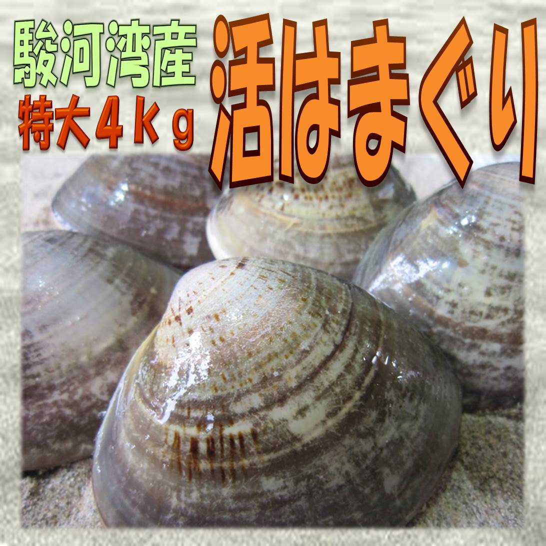 市場 お中元 ｂｂｑにも大人気 2 1 活はまぐり特大4kg40個前後 1 お誕生日 残暑見舞い ランキング入賞 御中元 ギフト 暑中見舞い 国産 とれたて直送