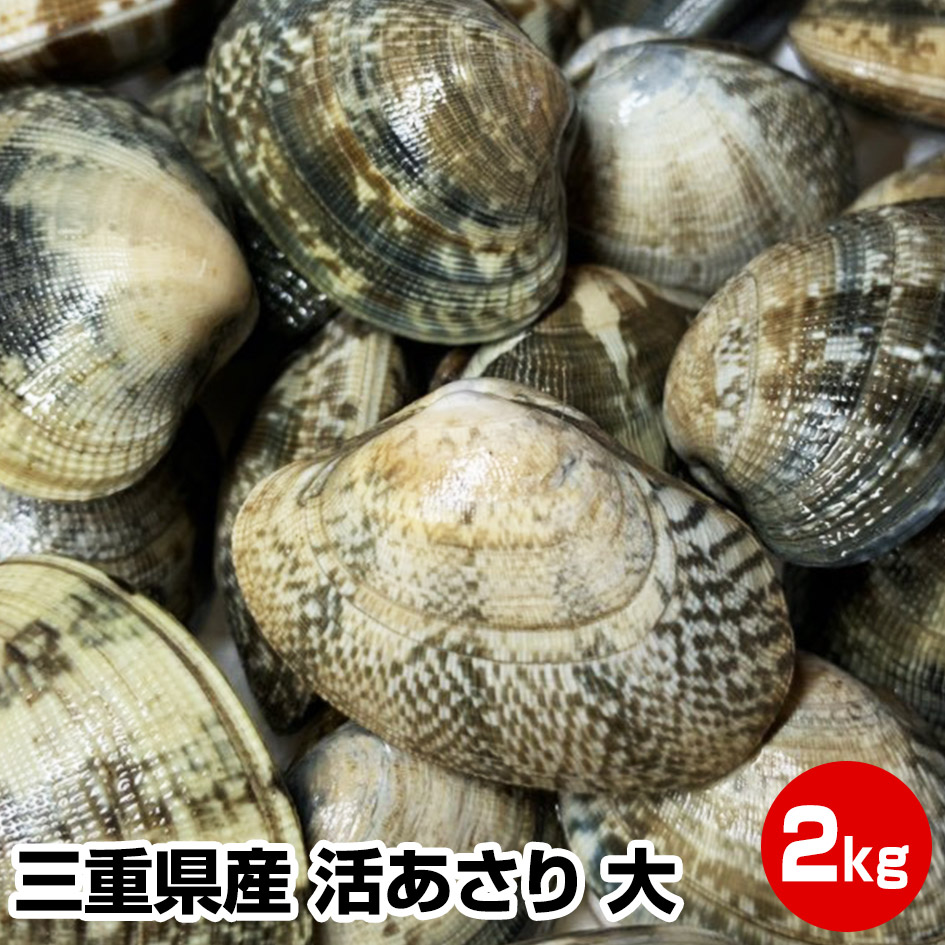 買回期間限定 ポイント+5倍 要エントリー【父の日 お中元 ギフト 誕生日プレゼント 内祝 暑中見舞 御中元】鮮度抜群！★三重県産 活あさり(大)2kg★アサリ 干物セット 干物 1位 50代 60代 70代 お試し 保存食 お買得 まとめ買い