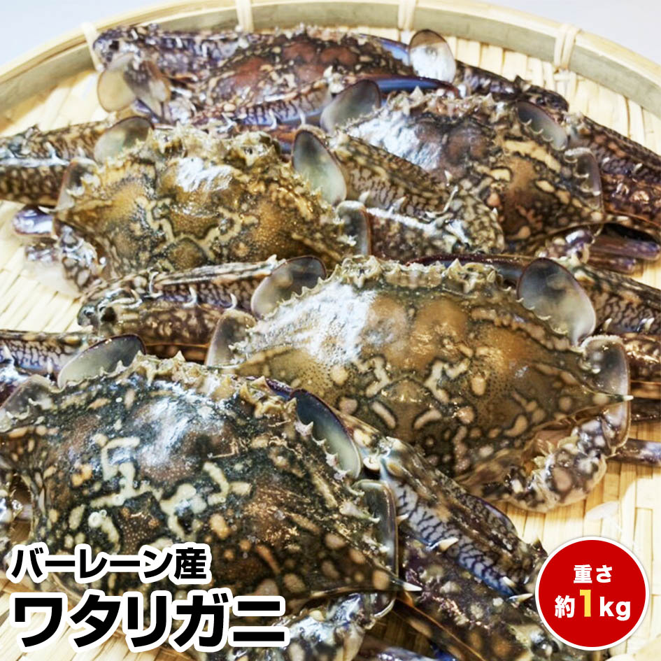 楽天市場 今だけポイント１０倍 生出荷 食用イシガニ 石蟹４kg 活状態での梱包 松島牡蠣屋 漁師の店長自ら漁獲です 目安 4ｋｇで40杯程度 ４キロ 松島牡蠣屋