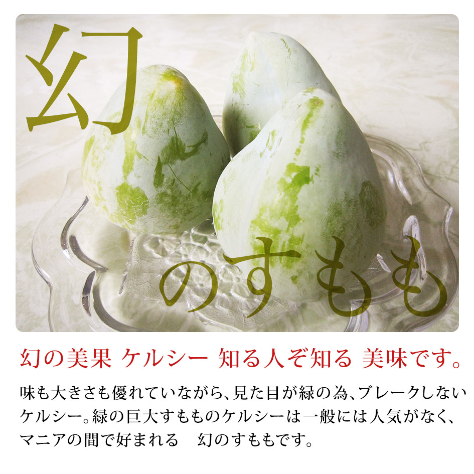 【ご予約商品】これは何だ?新感覚プラム!★山梨県産幻の高級プラムケルシー約1.2kg(8〜11玉)★発送は8月下旬ごろになります!経験のないジューシーな味!楽天人気ナンバー1に挑戦!桃お中元暑中見舞い残暑見舞い