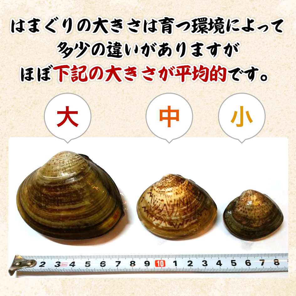 お中元 御中元 蛤 暑中見舞い はまぐり大1kg 貝類豪華たっぷり4点セット 国産 残暑 1kg 浜名湖産高級あさり大1kg お誕生日 ハマグリ中1kg ギフト 小