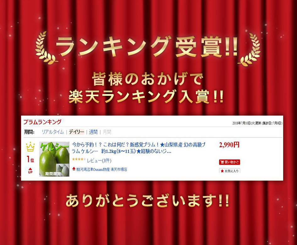 【ご予約商品】これは何だ?新感覚プラム!★山梨県産幻の高級プラムケルシー約1.2kg(8〜11玉)★発送は8月下旬ごろになります!経験のないジューシーな味!楽天人気ナンバー1に挑戦!桃お中元暑中見舞い残暑見舞い