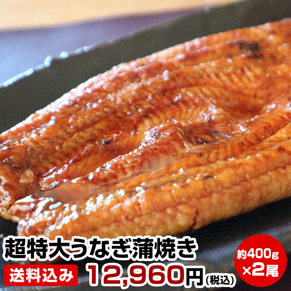 買回期間限定 ポイント+5倍 要エントリー【2個で500円引き・3個で1000円引き・4個で1500円引き】★超特大うなぎ蒲焼き2尾(1尾約400g)★鰻屋さんの約4倍の大きさです！送料無料(一部地域を除く)鰻蒲焼き 土用の丑の日【父の日 お中元 ギフト 誕生日プレゼント 内祝 暑中見舞】