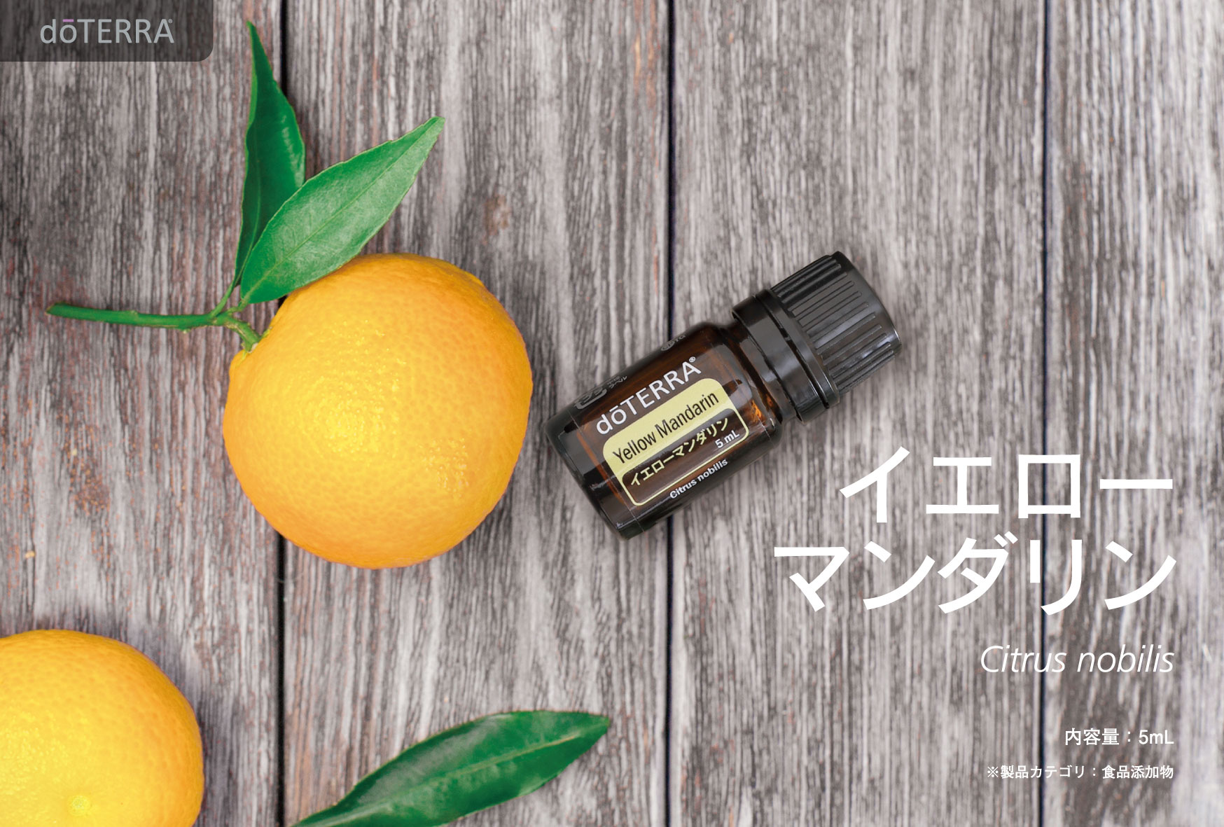 ドテラ】【doTERRA】ドテラ イエローマンダリン Yellow Mandarin