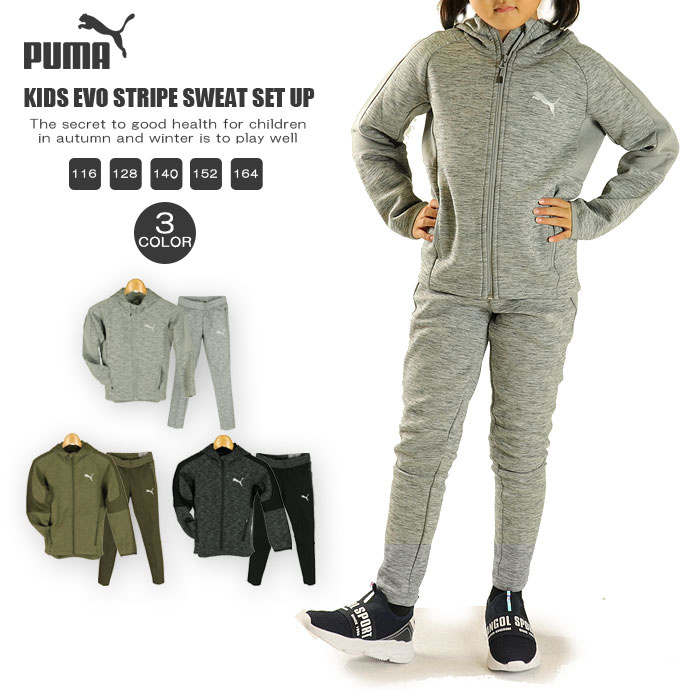 楽天市場】トレーナー プーマ PUMA ジュニア キッズ 846548 アルファ AOP クルー スウェット FL 2209 トップス プルオーバー  防寒 長袖 クルーネック ALPHA 裏起毛 ネコポス対応 : スポーツショップ グラスホッパー