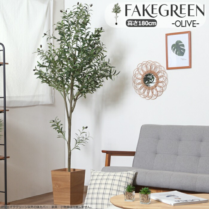 【ご成約】619fk 【未使用品・開封品】山善(YAMAZEN) フェイクグリーン 人工観葉植物 観葉植物 インテリア オフィス おしゃれ 癒し FG-OLIV55 オリーブ  y072406fk フェイクグリーン ヤシ 高さ50cm FG-ARECA50 | 山善ビズコム オフィス