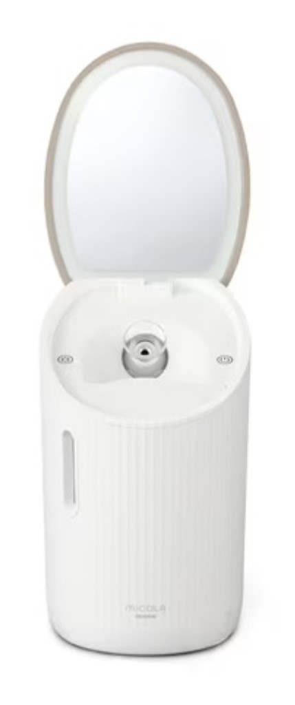 【新品/取寄品/代引不可】フェイススチーマー FST-101-W 11,574円