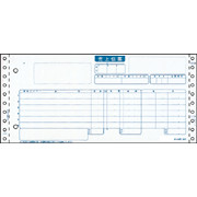 【新品/取寄品/代引不可】整理統合勘定書き C表現スタイル BP1712