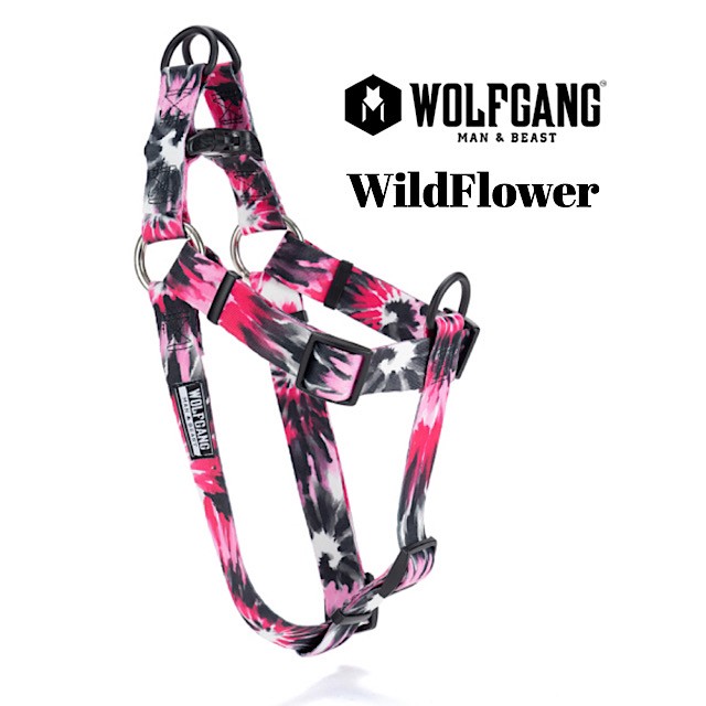 おしゃれなハーネス ウルフギャング ワイルドフラワー Wolfgang ハーネス ハーネス Lサイズ Lサイズ Wolfgang Wildflower ｌ お洒落なハーネス Out Tail Dog Outdoor Gear