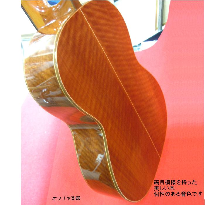 楽天市場 ボサノヴァギター スペイン製 おかげ様で創業100年 オワリヤ楽器