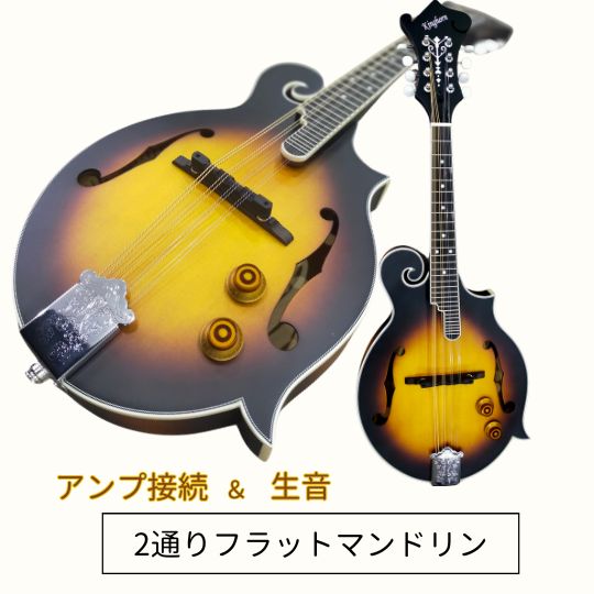 PLAYTECH Fタイプ フラットマンドリン 楽天市場】フラットマンドリン Fタイプ【新品アウトレット