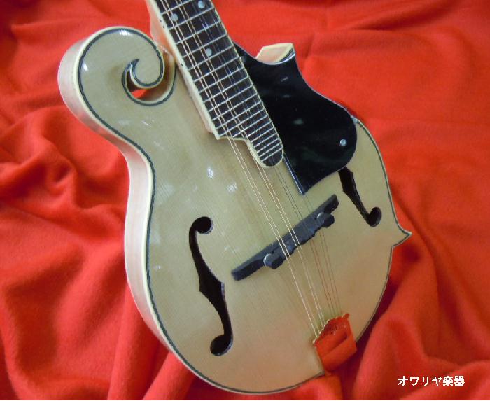 楽天市場】フラットマンドリンセット 総単板 ナチュラル【出荷前