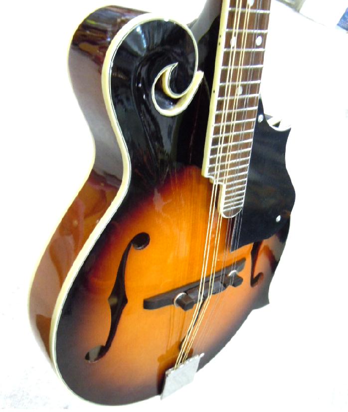 OWARIYA musical instrument Co. Ltd. Electric flat mandolin case, pick