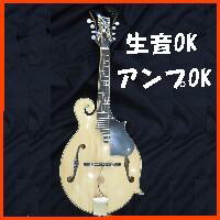 楽天市場】フラットマンドリン総単板シダー・ハードケースセット f60c