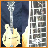 楽天市場】フラットマンドリン Fタイプ【新品アウトレット】 : おかげ