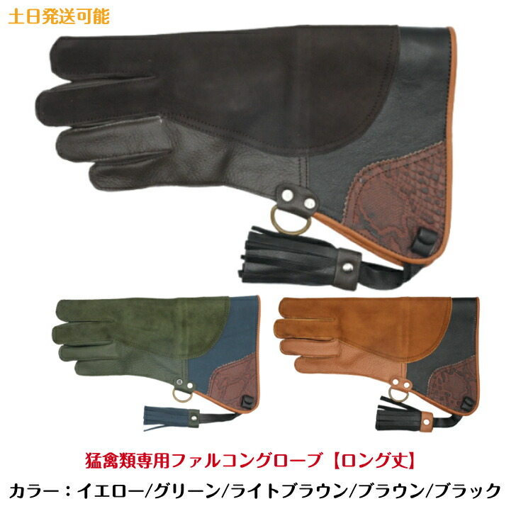 楽天市場】【ショート丈】猛禽用ファルコングローブ【S〜Lサイズ
