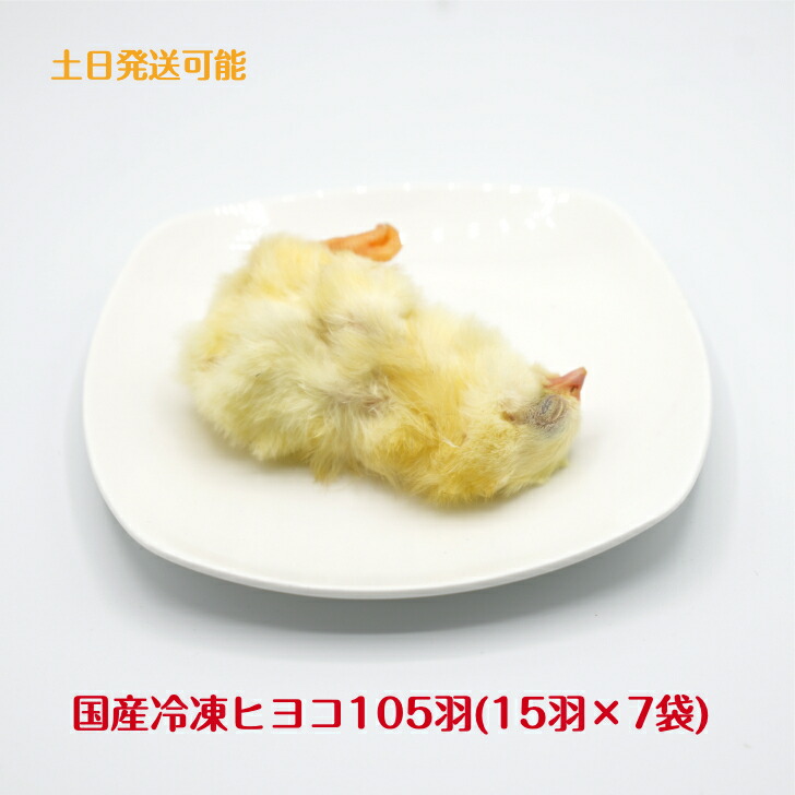 えいじ　送料無料　訳あり冷凍ヒヨコ250羽 えいじ様専用 送料無料 訳あり冷凍ヒヨコ250羽