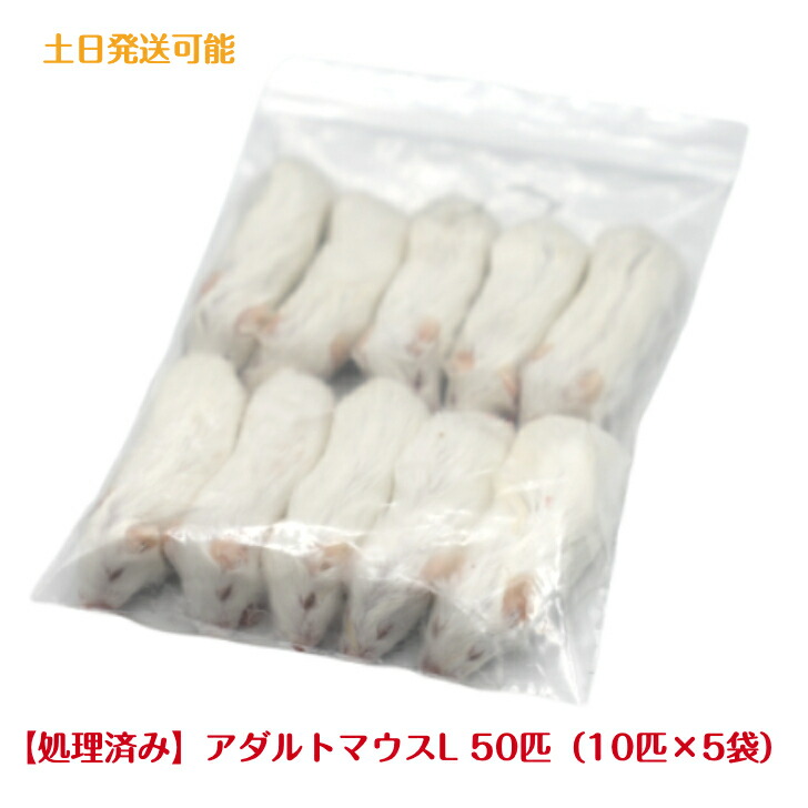 楽天市場】【未処理】国産冷凍ヒヨコ105羽 冷凍餌 エサ 猛禽類 爬虫類