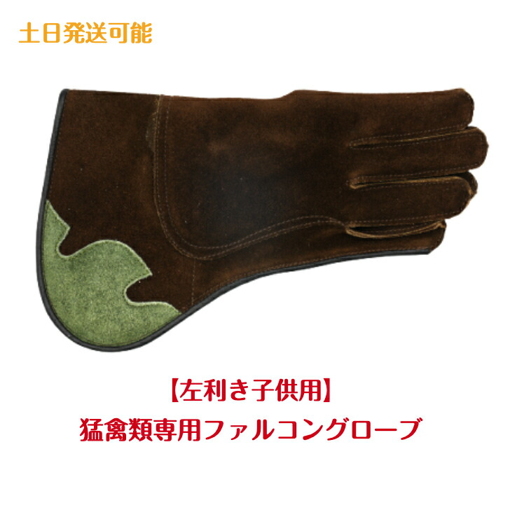 楽天市場】【ロング丈】猛禽用ファルコングローブ【フリーサイズ
