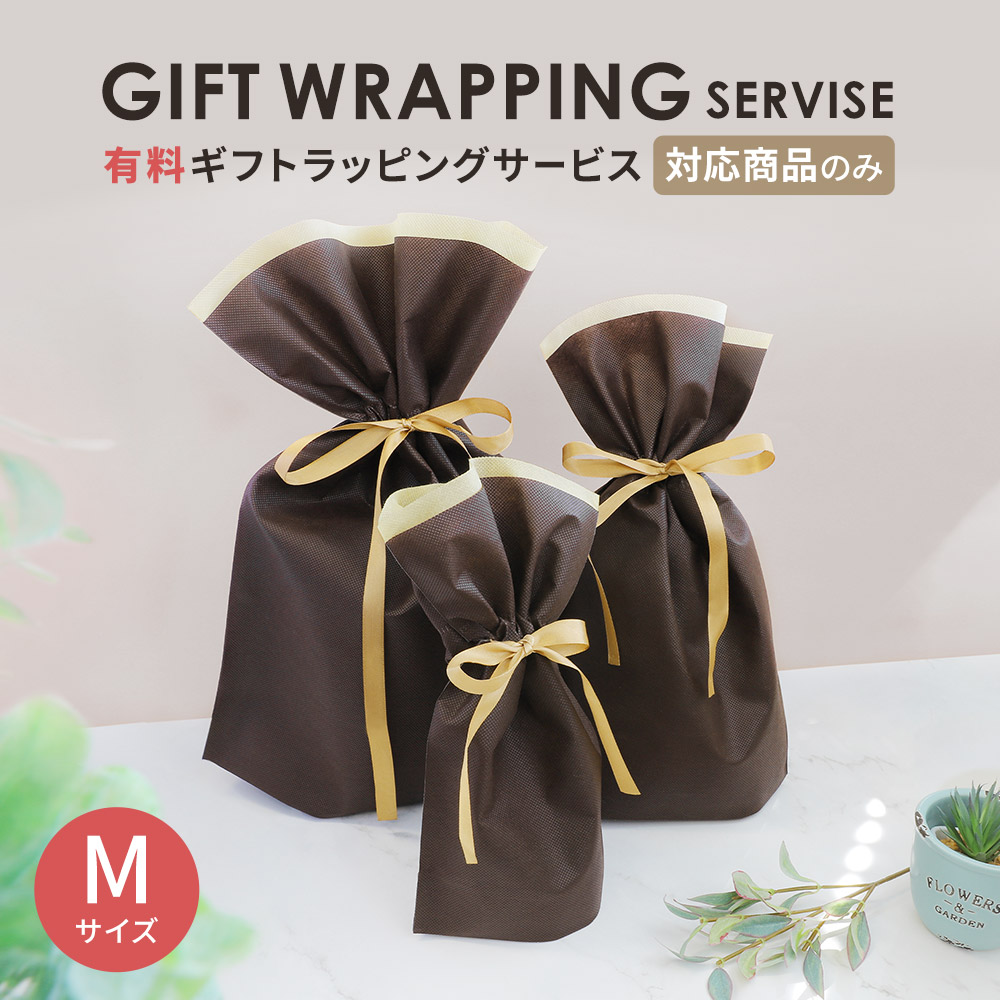 ラッピング袋　　10枚 ラッピング 不織布 袋 ギフト ギフトラッピング ラッピング袋