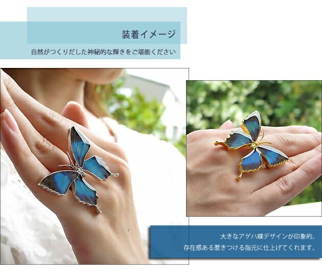 Rakuten 楽天市場 Psyche オーダー品 バタフライ アゲハ蝶デザイン リング ドクソコパチェルビナ シルバー925 オウン ピー アクセサリー 豪華 Www Olicitante Com Br