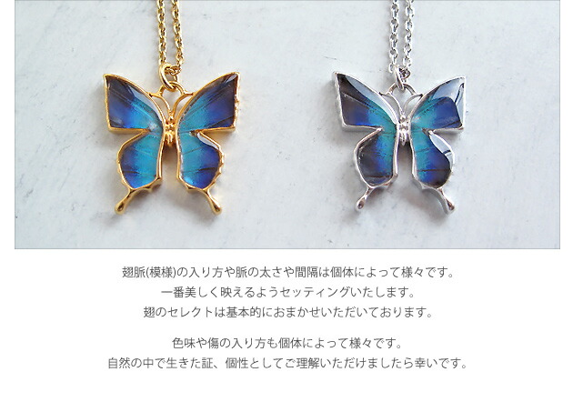 (オーダー品)(Psyche)本物の蝶の羽を使用した世界に一つのアクセサリーバタフライシルバーネックレス(アメリカコムラサキ/Silver925/ロジウムメッキ/ゴールドメッキ)