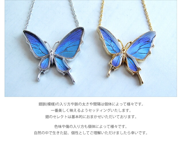 (Psyche/オーダー品) バタフライ 蝶 ネックレス 蝶の羽 舞蝶 ネックレス (タミラスムラサキシジミ/シルバー925)|オウン・ピー(アクセサリー)