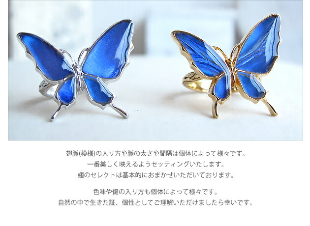 (オーダー品)(Psyche)本物の蝶の羽を使ったアクセサリー舞い飛ぶ姿の蝶バタフライシルバーリング(フリーサイズ13~15号程度)(カキカモルフォ/Silver925/ロジウムメッキ/ゴールドメッキ)