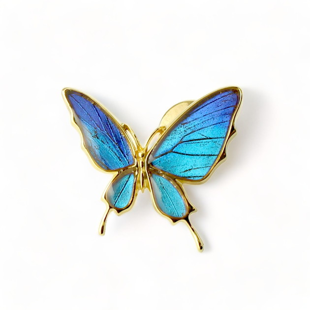 楽天市場】[タミラスムラサキシジミ] 本物の蝶の翅 アゲハ蝶 ブローチ