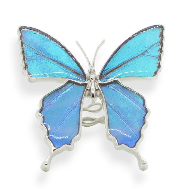 蝶はねアート　額入り il_fullxfull.6169964260_ou6u.jpg