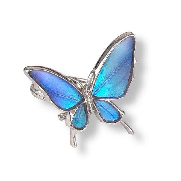 インテリアの蝶 楽天市場】（Psyche/現品) 本物の蝶の翅 アゲハ蝶デザインリング