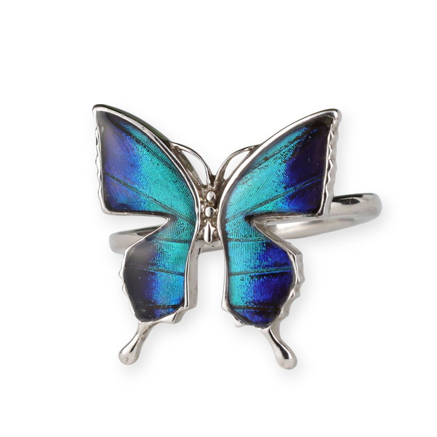 蝶々のモザイク 楽天市場】[スルコウスキーモルフォ] 本物の蝶の翅 舞い飛ぶ蝶 リング