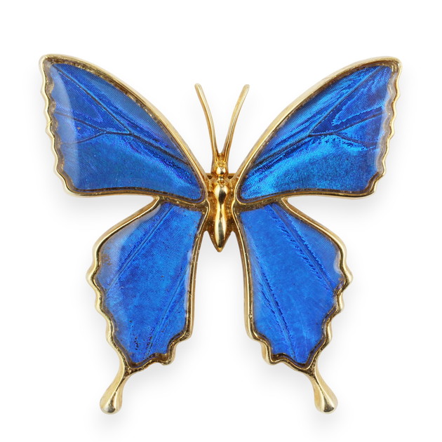 アニタ　蝶 楽天市場】（Psyche/現品) 本物の蝶の翅 アゲハ蝶デザインリング