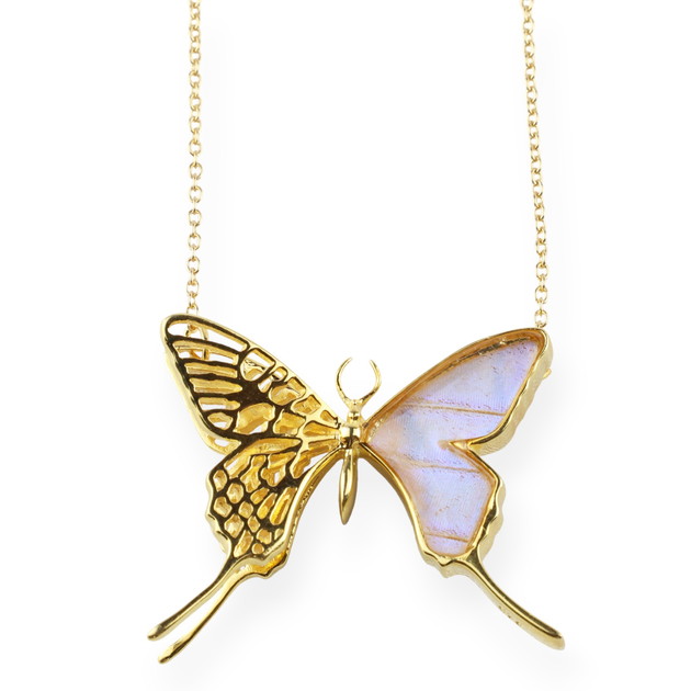 波と蝶 蝶千種 | NDLイメージバンク | 電子展示会