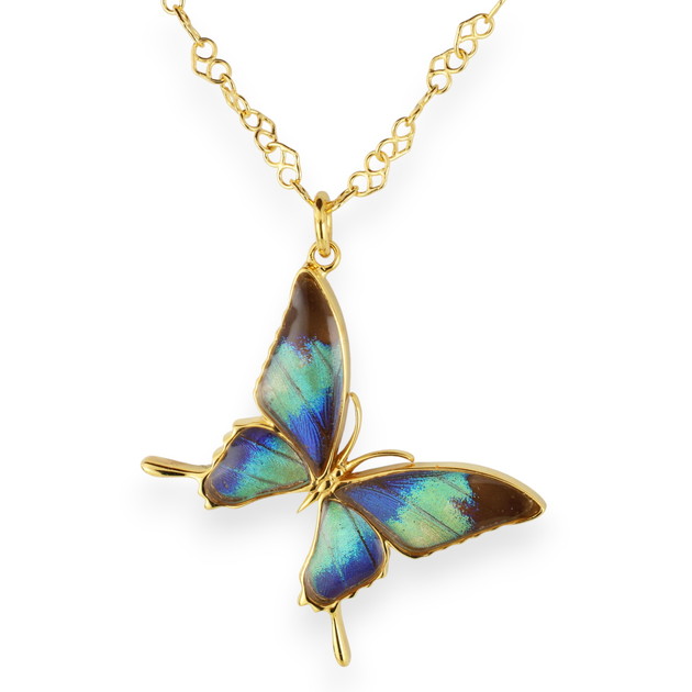 楽天市場】（Psyche/現品) 本物の蝶の翅 アゲハ蝶デザインリング