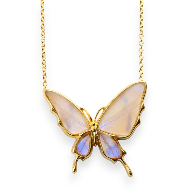 楽天市場】[スルコウスキーモルフォ] 本物の蝶の翅 舞い飛ぶ蝶 リング