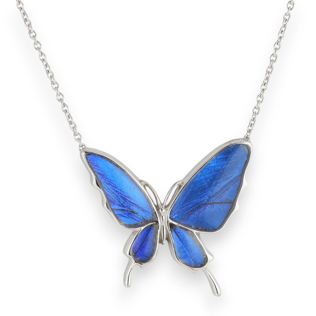 楽天市場】(Psyche/現品) 本物の蝶の翅アクセサリー バタフライ 蝶