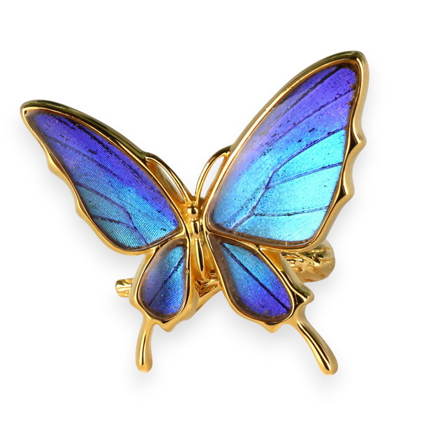 楽天市場】[スルコウスキーモルフォ] 本物の蝶の翅 舞い飛ぶ蝶 リング